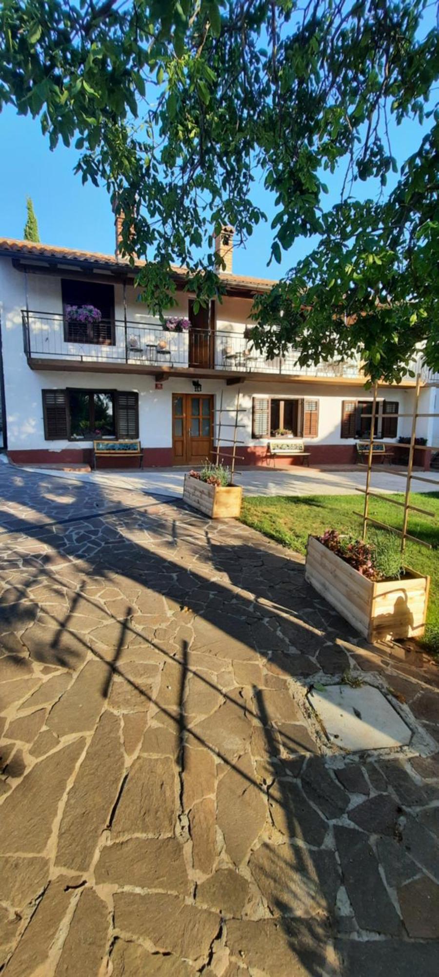 Apartma Brina 3 Sežana Eksteriør billede